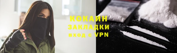 твердый Богородицк