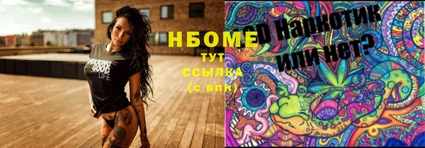 твердый Богородицк