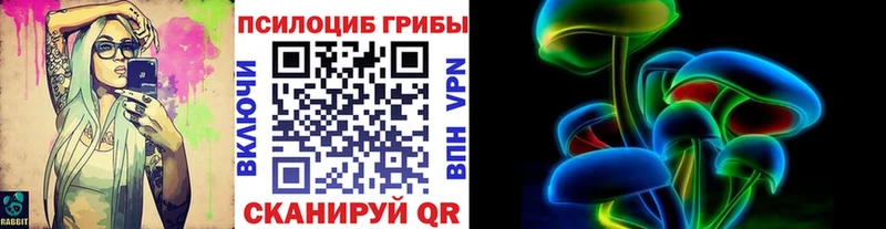 Купить где  Советск  Псилоцибиновые грибы прущие грибы 