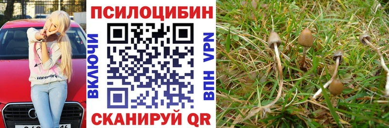 Галлюциногенные грибы ЛСД Советск